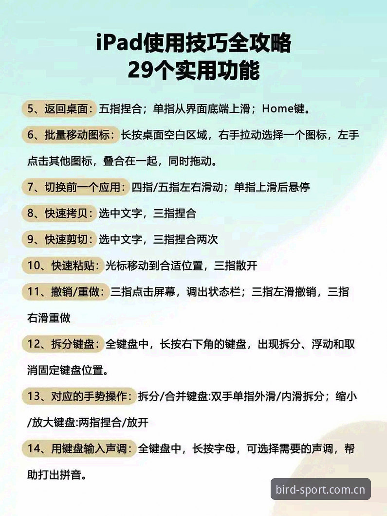 小鸟体育官方App 小鸟体育官方App新手指南:从入门到精通